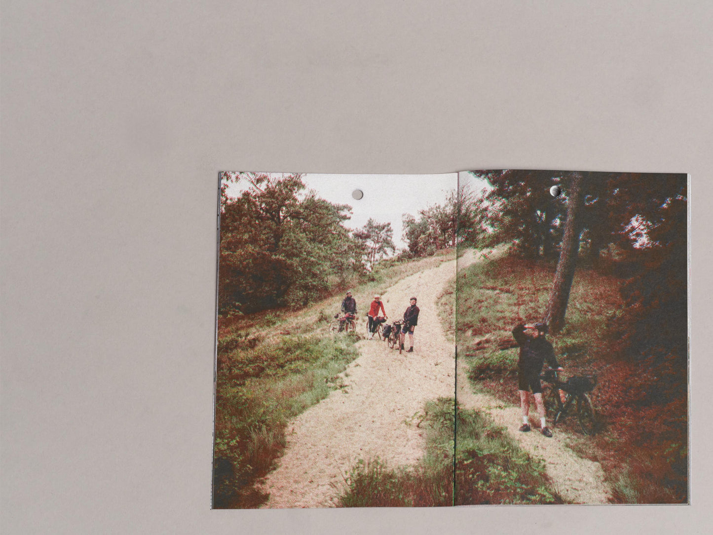 Sous les arbres il pleut à contre temps - LLT2 zine