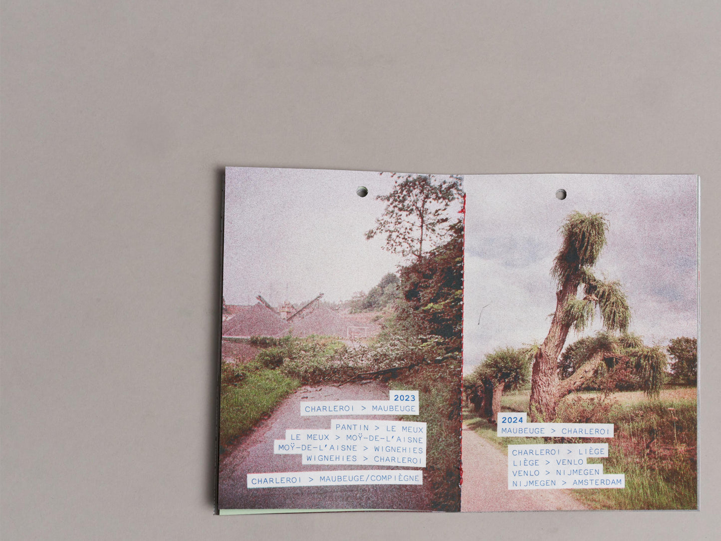 Sous les arbres il pleut à contre temps - LLT2 zine